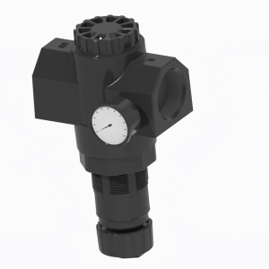 REGULATOR,AIR 1.25NPT 000-050PSI